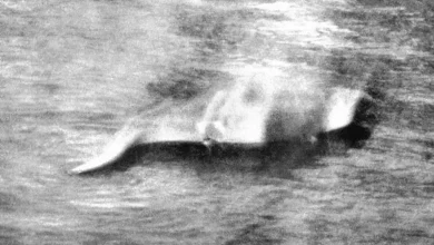 The truth about the first Loch Ness monster photo – 92 years later