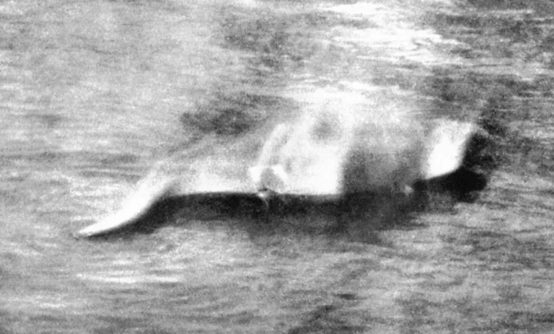The truth about the first Loch Ness monster photo – 92 years later