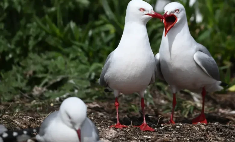 The ‘Bird Theory’ Is Going Viral—What It Says About Your Relationship