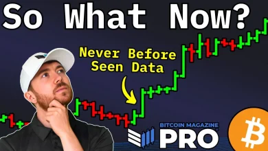 This Bitcoin Price Cycle Data Reveals Next Major Bull Run