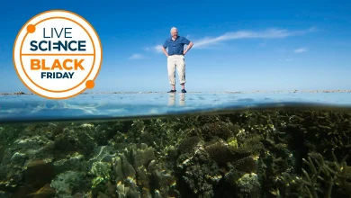 This Black Friday deal saves 77% on a subscription to Paramount Plus