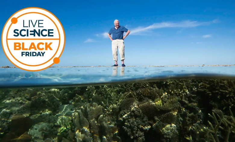 This Black Friday deal saves 77% on a subscription to Paramount Plus