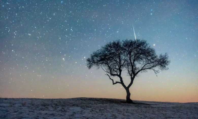 This week's Leonid meteor shower could be one of the best in years. Here's why.
