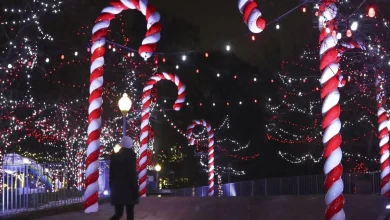 This ‘highly-anticipated’ Ontario holiday festival starts soon — plus other events to bring on the cheer