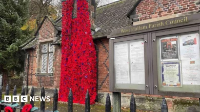 Thousands of knitted poppies created for Remembrance display
