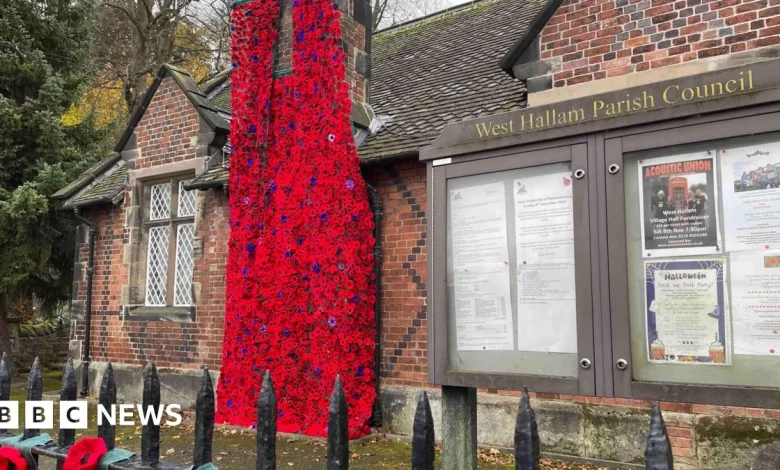 Thousands of knitted poppies created for Remembrance display