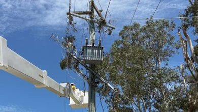 Thousands swelter without power as mercury soars again across south-east Queensland