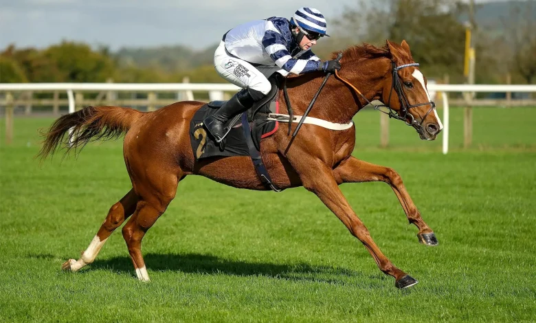 Three bets for Haydock and Ascot