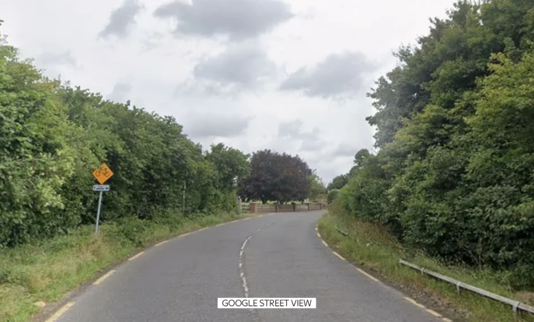Three men and two women in their 20s have died in car crash in Co Louth, Irish police say