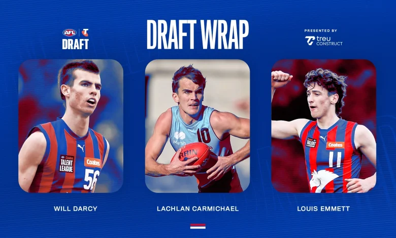 Three new Dogs arrive at the Kennel