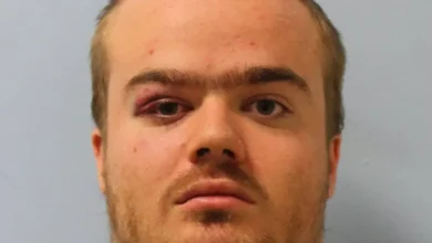 Thug who threw boy, 6, off Tate Modern balcony 'clawed' nurse in terrifying attack