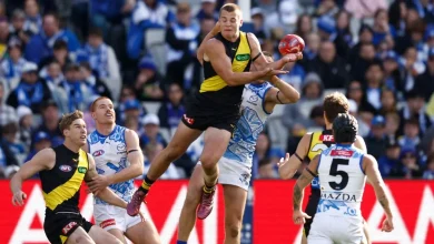 Tigers young guns inherit famous numbers