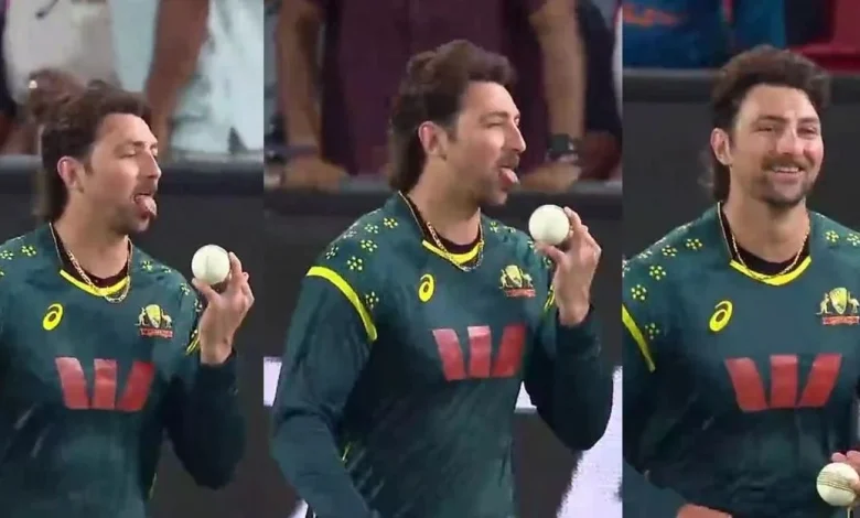 Tim David’s controversial celebration after dismissing Suryakumar Yadav sparks outrage