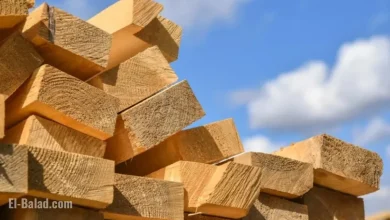 Timber Giant Declares Administration Notice