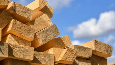 Timber giant files administration notice
