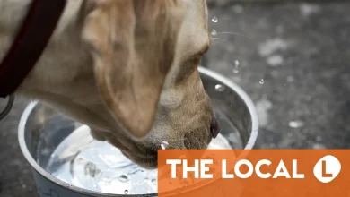 Today in Denmark: A roundup of the news on Wednesday