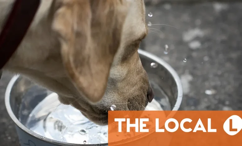 Today in Denmark: A roundup of the news on Wednesday