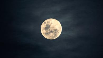 Today’s Moon Phase: November 4, 2025