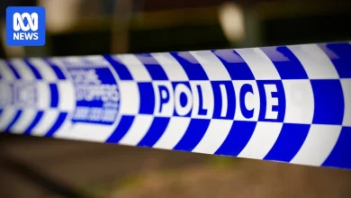 Toddler dies after being struck by freight train near Narrabri