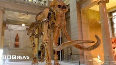 Tom Bones: Sir Tom Jones chuffed after museum mammoth named after him