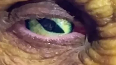 Tom war zu Stein erstarrt: Halloween-Kostüm: Schaut Heidi besser nicht an!