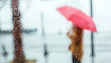 Tomorrow's Weather Hamilton: Chilly with Rain & Flurries