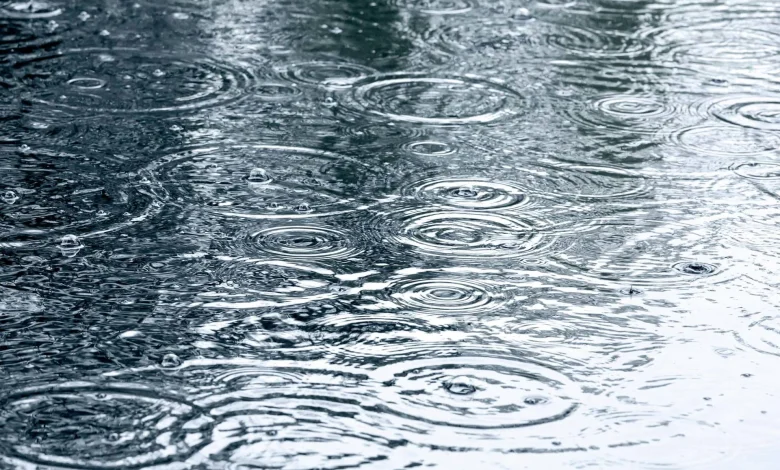 Tomorrow's Weather Ottawa: Cold, Cloudy with Light Rain-Snow Mix