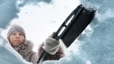 Tomorrow's Weather Toronto: Cold, Cloudy with Light Snow Flurries