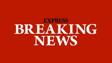 Tony Germano dead: Netflix and Disney star dies after horror fall from roof