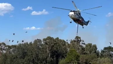 'Too late to leave': Residents told to shelter immediately as to bushfire burns south of Sydney