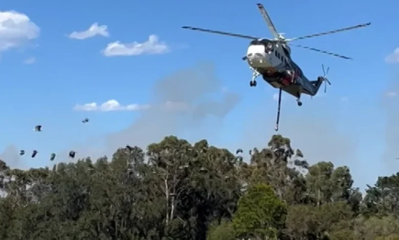 'Too late to leave': Residents told to shelter immediately as to bushfire burns south of Sydney