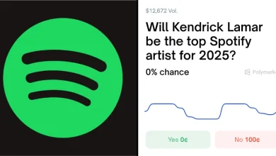 Top Spotify Artist 2025