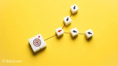 TopDog Law Expands into Florida with Southeastern Firm Acquisition