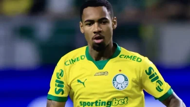 Torcida do Palmeiras se irrita com árbitro após possível pênalti não marcado em Allan diante do Fluminense