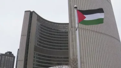 Toronto City Hall raises Palestinian flag, joins other cities across Canada