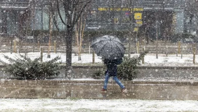 Toronto could see up to 10 centimetres of snow Sunday, Environment Canada warns