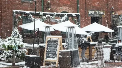 Toronto winter village look-a-like website removed after complaint to police, domain host