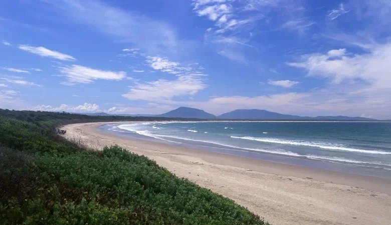 Tourist dies after being bitten by shark in Australia