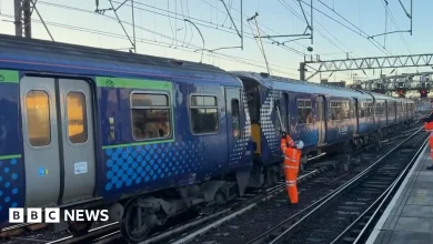 Train services resume after damaged wires repaired