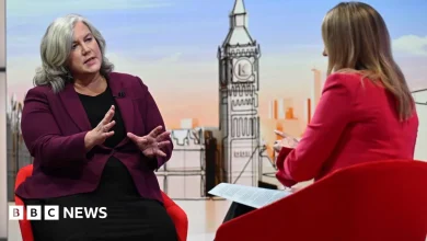 Transport Secretary Heidi Alexander denies Budget leaks damaged economy