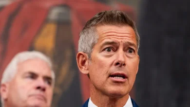 Transportation Secretary says air traffic controllers who stopped working before missing pay could face consequences