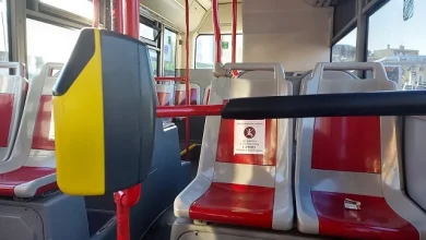 Trasporto a chiamata, il Municipio IX al centro del nuovo piano di mobilità