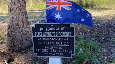 Tribute to the volunteers as they keep the memory alive this Remembrance Day