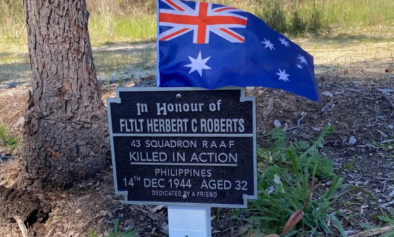 Tribute to the volunteers as they keep the memory alive this Remembrance Day