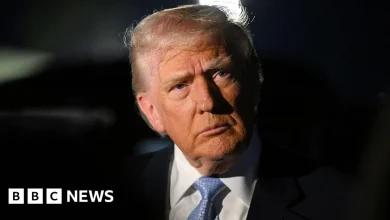 Trump: Democrats' message to troops seditious behavior, punishable by death