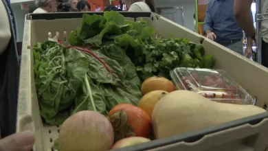 Trump administration orders states to reverse November SNAP benefits, affecting thousands of San Diegans