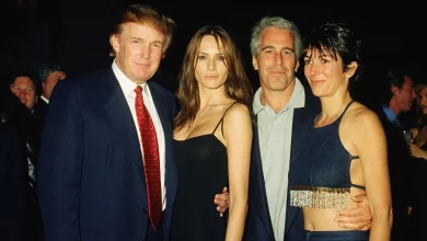 Trump latest: 'In effect, Epstein files have been released' - after 20,000 pages published