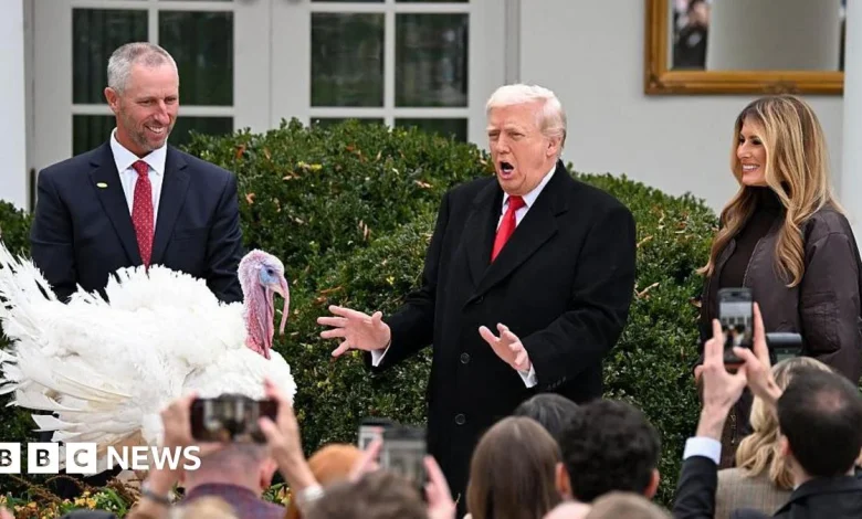 Trump pardons Gobble and Waddle the turkeys ahead of Thanksgiving