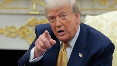 Trump proposes $2,000 dividend funded by tariffs. Here's what experts say about the plan.