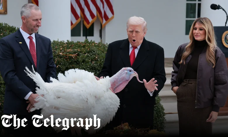 Trump re-pardons Biden’s Thanksgiving turkeys